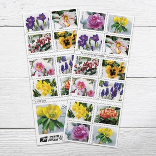 All Time Low (Price): $1200 Get 10000 Forever Stamps, More Than 100 Styles to Choose - Image 122