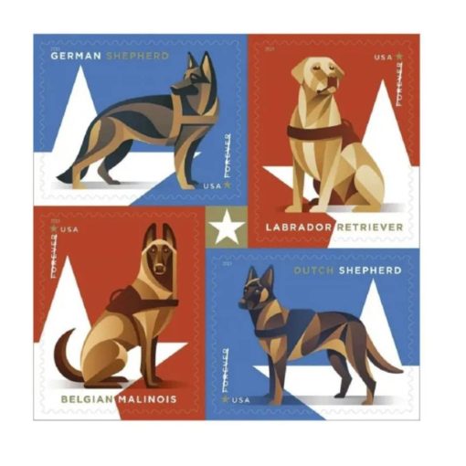 All Time Low (Price): $1200 Get 10000 Forever Stamps, More Than 100 Styles to Choose - Image 2