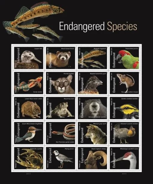 Endangered Species Forever Stamps - Image 2