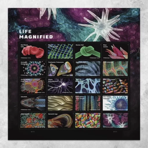 Life Magnified Forever Stamps - Image 2