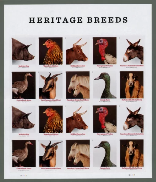 2021 Heritage Breeds Forever Stamps - Image 2