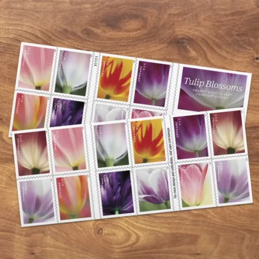 Tulip Blossoms Forever Stamps - Image 2