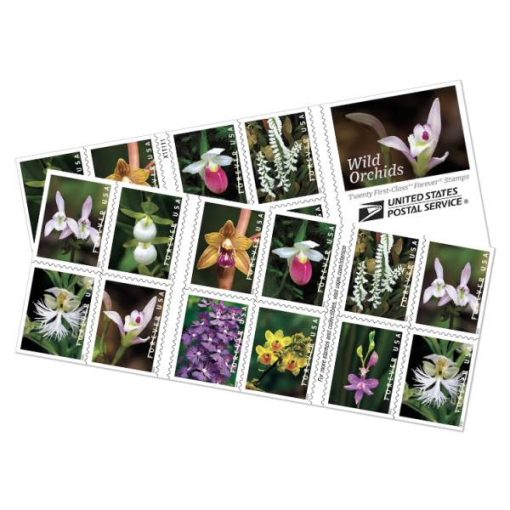 Wild Orchids Forever Stamps - Image 3