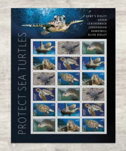 2024 Protect Sea Turtles Forever First Class Postage Stamps