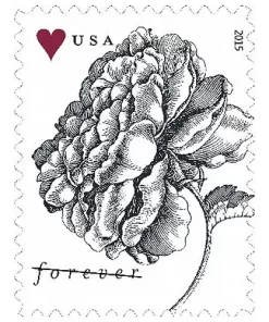 2015 Engraved Vintage Rose Forever First Class Stamps