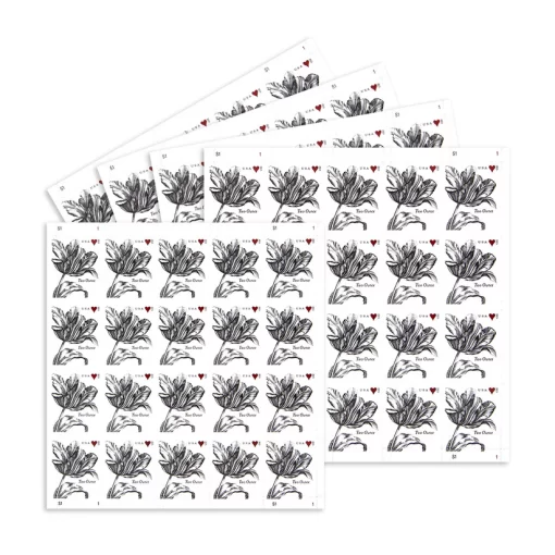 2015 Wedding Series: Vintage Tulip Two Ounce First Class Postage Stamps - Image 2