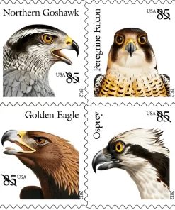 BIRDS OF PREY 2012  Postage Stamps