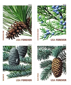 2010 Holiday Evergreens Forever First Class Forever Stamps
