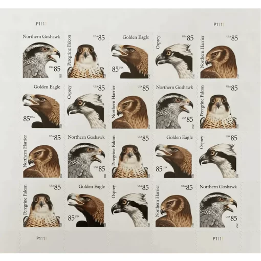 BIRDS OF PREY 2012  Postage Stamps - Image 2