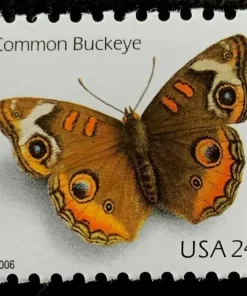 2006 Common Buckeye Butterfly First Class Postage Stamps