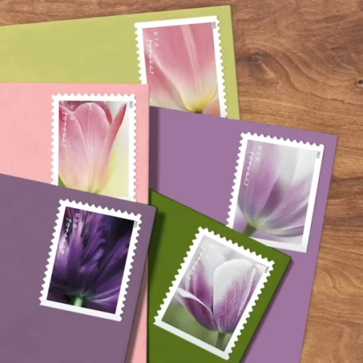 Tulip Blossoms Forever Stamps - Image 3