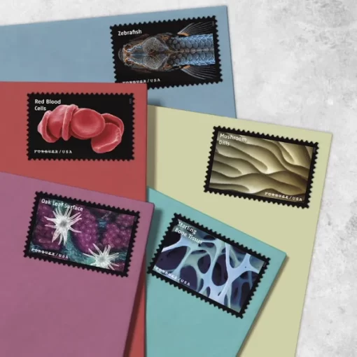 Life Magnified Forever Stamps - Image 3