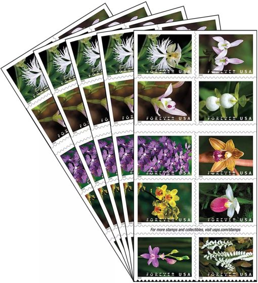 Wild Orchids Forever Stamps - Image 4