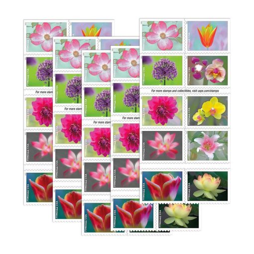 All Time Low (Price): $1200 Get 10000 Forever Stamps, More Than 100 Styles to Choose - Image 102