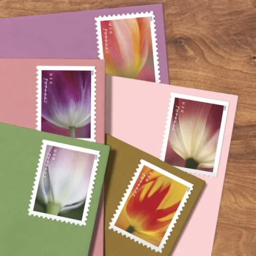 Tulip Blossoms Forever Stamps - Image 4