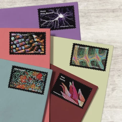 Life Magnified Forever Stamps - Image 4