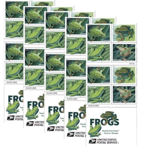 Squirrel Tree Frog Forever Stamps - Image 3