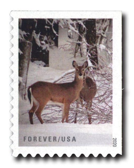Winter Scenes Forever Stamps