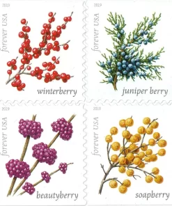 Winter Berries Forever Stamps