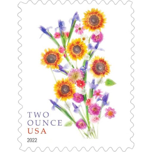 All Time Low (Price): $1200 Get 10000 Forever Stamps, More Than 100 Styles to Choose - Image 56