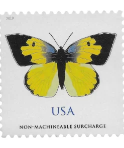 $1.12 California Dogface Butterfly