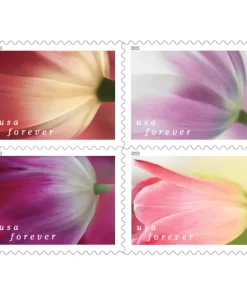 Tulip Blossoms Forever Stamps