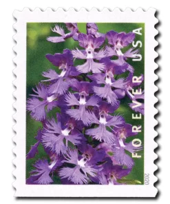 Wild Orchids Forever Stamps
