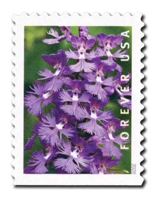 Wild Orchids Forever Stamps