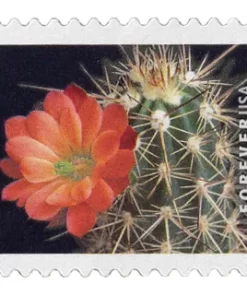 Cactus Flowers Forever Stamps