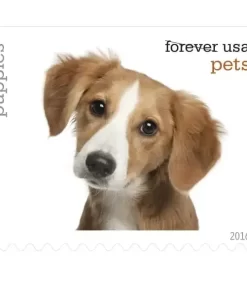Pets Celebrate Animals Forever Stamps