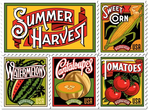 Summer Harvest Forever Stamps - Image 3
