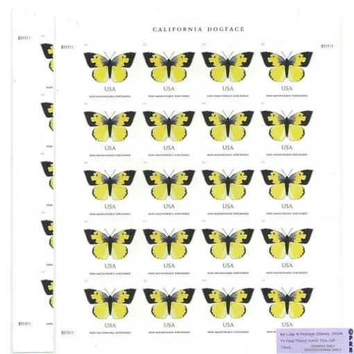 $1.12 California Dogface Butterfly - Image 3