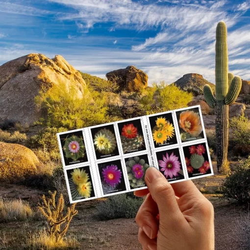 Cactus Flowers Forever Stamps - Image 3