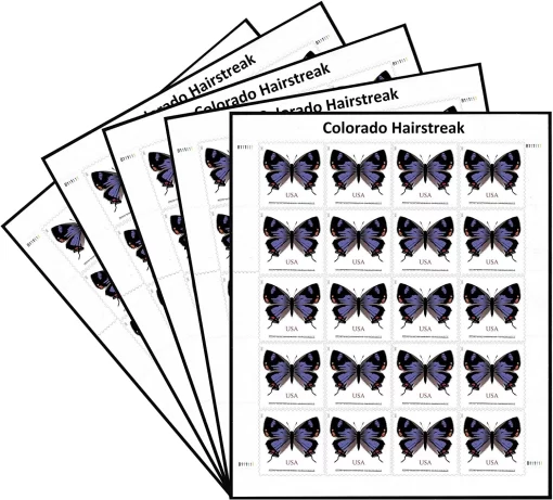 $1.12 Colorado Hairstreak Forever Stamps - Image 3