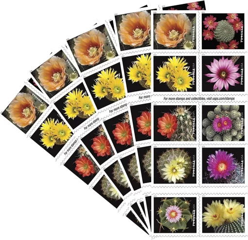 Cactus Flowers Forever Stamps - Image 4