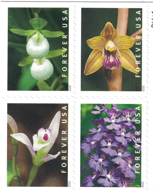 Wild Orchids Forever Stamps - Image 2
